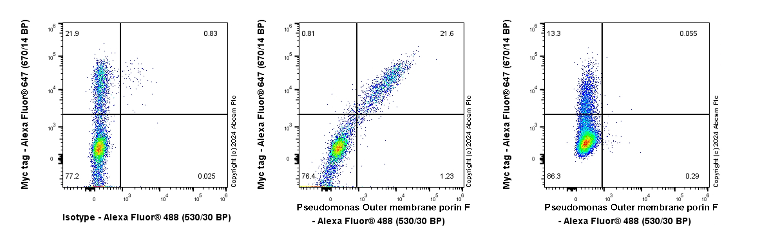Flow Cytometry (Intracellular) - Anti-Pseudomonas Outer membrane porin F antibody [EPR28629-91] - BSA and Azide free (AB316974), expandable thumbnail