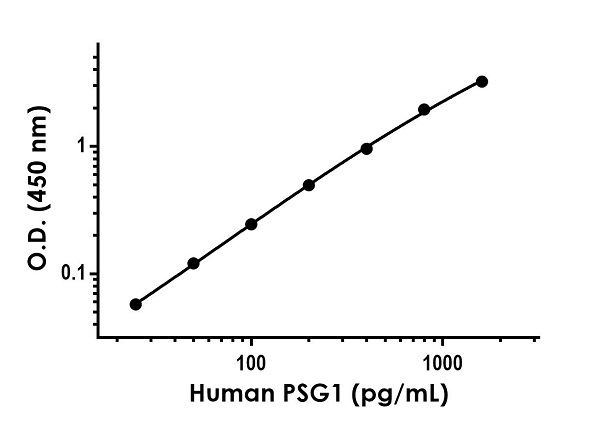 Sandwich ELISA - Anti-PSG1 antibody [EPR21805-250] - BSA and Azide free (Detector) (AB259514), expandable thumbnail