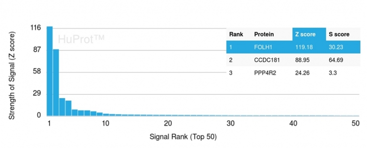 Protein Array - Anti-PSMA antibody [FOLH1/3734] (AB268061), expandable thumbnail