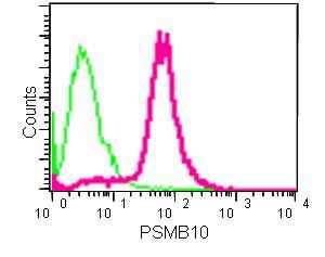 Flow Cytometry (Intracellular) - Anti-PSMB10/MECL1 antibody [EPR14902] (AB183506), expandable thumbnail