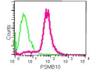 Flow Cytometry (Intracellular) - Anti-PSMB10/MECL1 antibody [EPR14902] - BSA and Azide free (AB240272)
