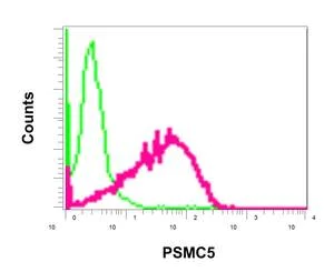 Flow Cytometry (Intracellular) - Anti-PSMC5 antibody [EPR13565(B)] - BSA and Azide free (AB240208)