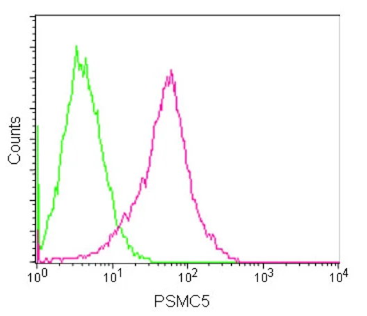 Flow Cytometry (Intracellular) - Anti-PSMC5 antibody [EPR13566(B)] - BSA and Azide free (AB250198)