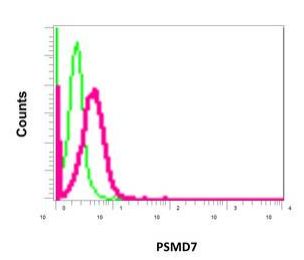 Flow Cytometry (Intracellular) - Anti-PSMD7/Mov34 antibody [EPR13516(B)] (AB178417)