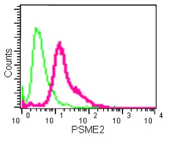 Flow Cytometry (Intracellular) - Anti-PSME2 antibody [EPR14931] - BSA and Azide free (AB250700)