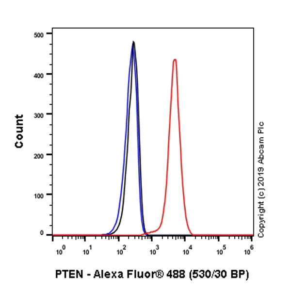 Flow Cytometry (Intracellular) - Anti-PTEN antibody [EPR22636-122] - BSA and Azide free (AB267791)