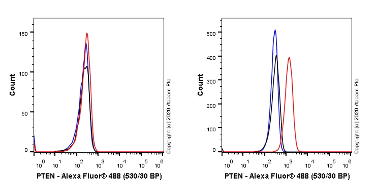 Flow Cytometry (Intracellular) - Anti-PTEN antibody [EPR23729-4] (AB260011), expandable thumbnail