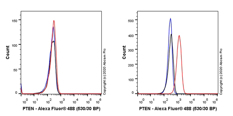 Flow Cytometry (Intracellular) - Anti-PTEN antibody [EPR23729-4] - BSA and Azide free (AB273629)