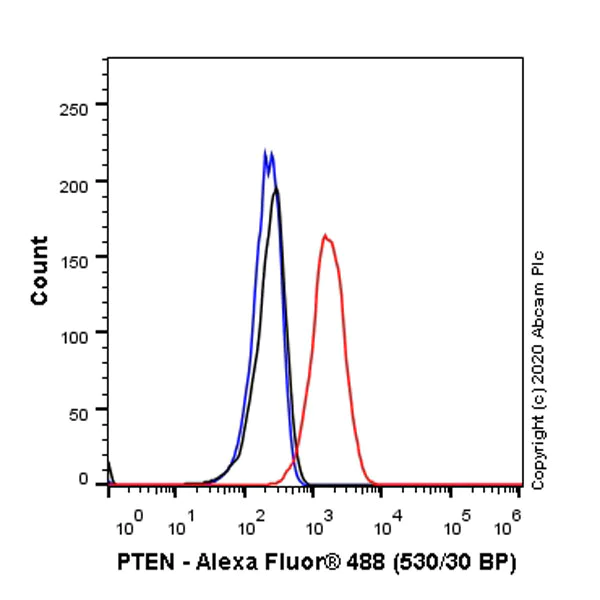 Flow Cytometry (Intracellular) - Anti-PTEN antibody [EPR23729-4] - BSA and Azide free (AB273629)