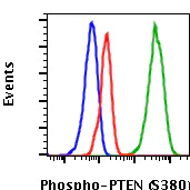 Flow Cytometry - Anti-PTEN (phospho S380) antibody [PTENS380-NA9] (AB278557)