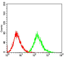 Flow Cytometry - Anti-PTP1B antibody [4F8F11] (AB201974)