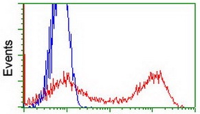 Flow Cytometry (Intracellular) - Anti-PTP1B antibody [OTI1D10] (AB124375)