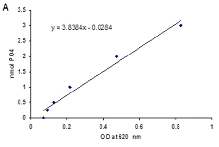 Functional Studies - PTP1B Inhibitor Screening Assay Kit (AB139465)