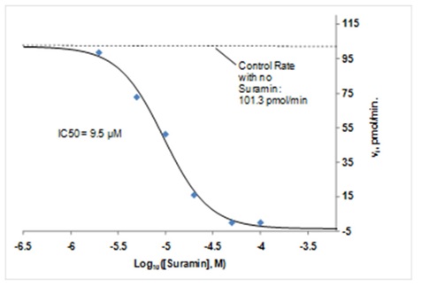 Functional Studies - PTP1B Inhibitor Screening Assay Kit (AB139465)