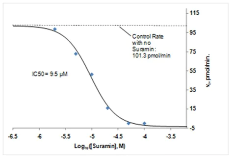 Functional Studies - PTP1B Inhibitor Screening Assay Kit (AB139465)
