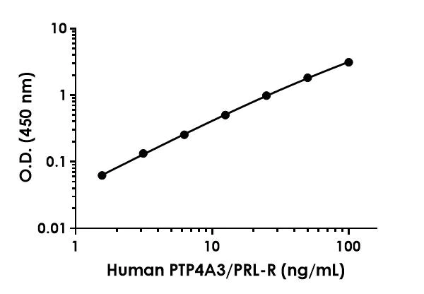 Sandwich ELISA - Anti-PTP4A3/PRL-R antibody [EPR24449-3] - BSA and Azide free (Detector) (AB281686)