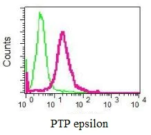 Flow Cytometry (Intracellular) - Anti-PTPRE antibody [EPR6715] - BSA and Azide free (AB248184)