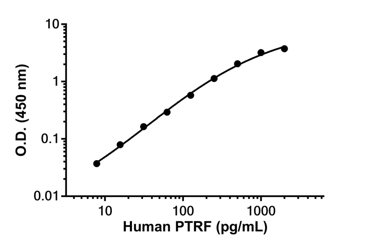 Sandwich ELISA - Anti-PTRF antibody [EPR27006-32] - BSA and Azide free (Detector) (AB312883)