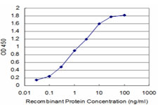 ELISA - Anti-PU.1/Spi1 antibody [2G1] (AB88082), expandable thumbnail