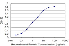 ELISA - Anti-PU.1/Spi1 antibody [2G1] (AB88082)