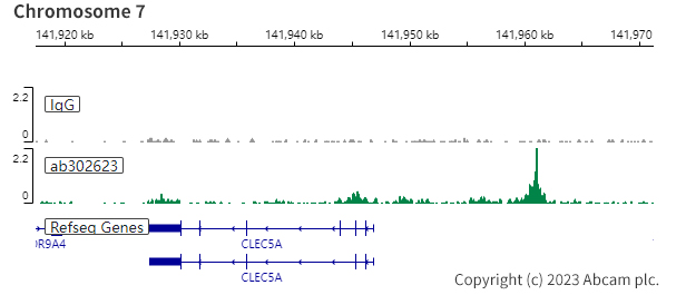 ChIC/CUT&RUN sequencing - Anti-PU.1/Spi1 antibody [EPR25123-110] (BSA and Azide free) (AB302624), expandable thumbnail