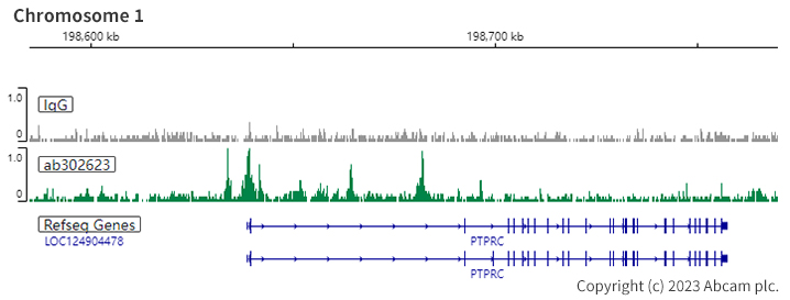 ChIC/CUT&RUN sequencing - Anti-PU.1/Spi1 antibody [EPR25123-110] (BSA and Azide free) (AB302624), expandable thumbnail
