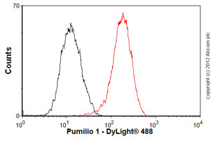 Flow Cytometry (Intracellular) - Anti-Pumilio 1 antibody [EPR3795] (ab92545), expandable thumbnail
