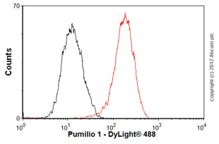 Flow Cytometry (Intracellular) - Anti-Pumilio 1 antibody [EPR3795] (AB92545)