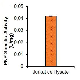 Functional Studies - Purine Nucleoside Phosphorylase Activity Assay Kit (Fluorometric) (AB204706)