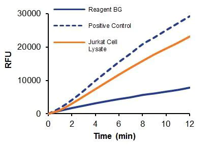 Functional Studies - Purine Nucleoside Phosphorylase Activity Assay Kit (Fluorometric) (AB204706)