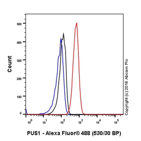 Flow Cytometry (Intracellular) - Anti-PUS1 antibody [EPR20181] - BSA and Azide free (AB251389)