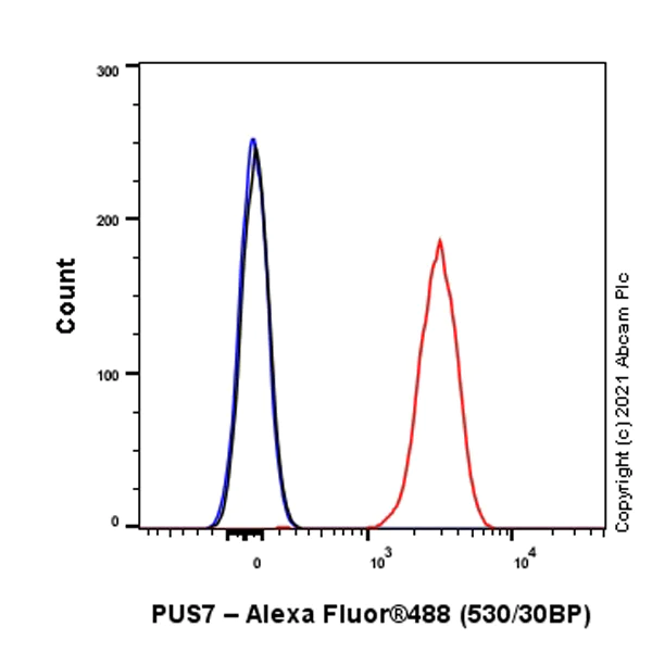 Flow Cytometry (Intracellular) - Anti-PUS7 antibody [EPR25172-31] (AB289857)