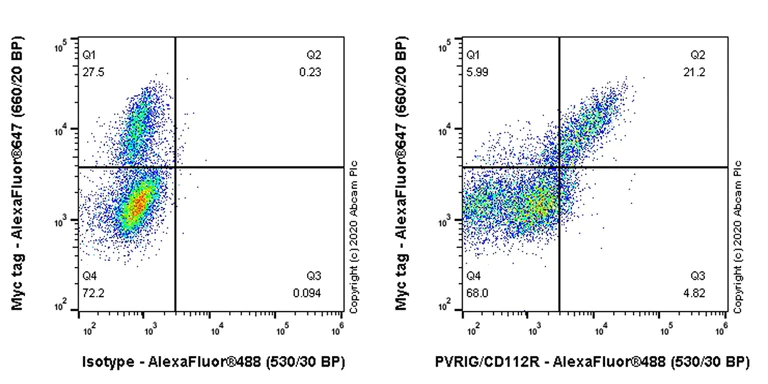 Flow Cytometry - Anti-PVRIG/CD112R antibody [EPR23797-104] (AB256808)