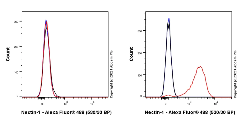 Flow Cytometry - Anti-PVRL1/NECTIN1 antibody [EPR24275-102] - BSA and Azide free (AB283328)