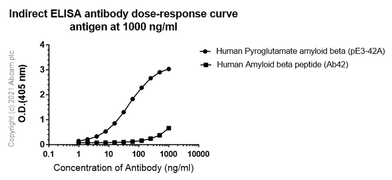 Indirect ELISA - Anti-Pyroglutamate beta Amyloid antibody [IBR-10-2-3] - BSA and Azide free (AB264035)