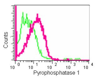 Flow Cytometry (Intracellular) - Anti-Pyrophosphatase 1 antibody [EPR11282] - BSA and Azide free (AB250366), expandable thumbnail