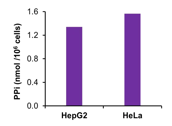 Functional Studies - Pyrophosphate Assay Kit (Colorimetric / Fluorometric) (AB234040)