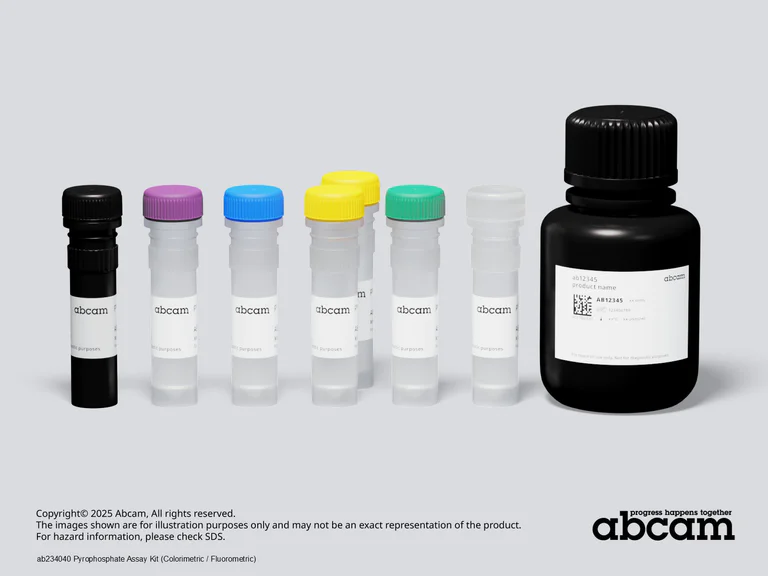 Schematic Diagram - Pyrophosphate Assay Kit (Colorimetric / Fluorometric) (AB234040)