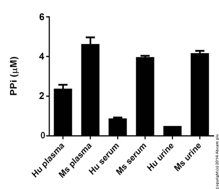 Functional Studies - Pyrophosphate Assay Kit (Fluorometric) (AB112155)