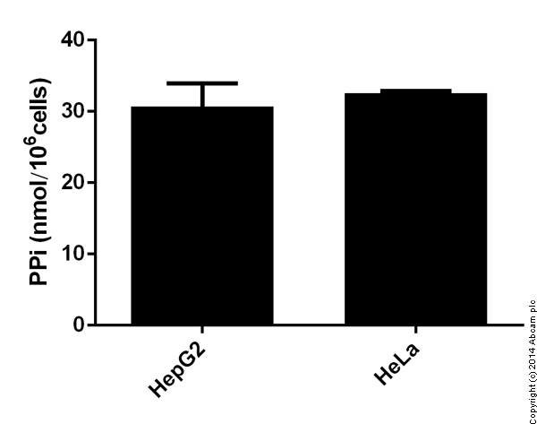 Functional Studies - Pyrophosphate Assay Kit (Fluorometric) (AB112155), expandable thumbnail