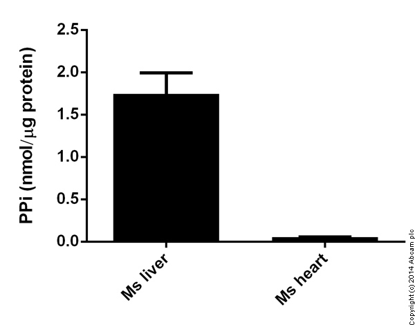 Functional Studies - Pyrophosphate Assay Kit (Fluorometric) (AB112155), expandable thumbnail