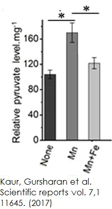 Functional Studies - Pyruvate Assay Kit (AB65342)