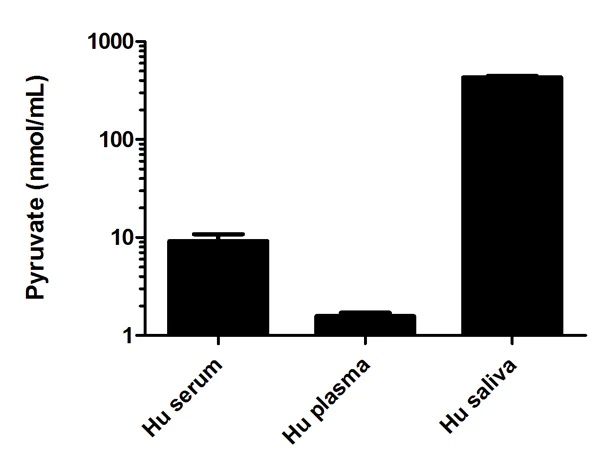 Functional Studies - Pyruvate Assay Kit (AB65342)