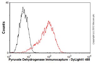 Flow Cytometry - Anti-Pyruvate Dehydrogenase E2 antibody [15D3G9C11] (AB110332)