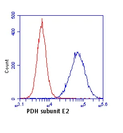 Flow Cytometry - Anti-Pyruvate Dehydrogenase E2 antibody [15D3G9C11] (AB110332)