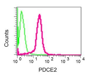 Flow Cytometry (Intracellular) - Anti-Pyruvate Dehydrogenase E2 antibody [EPR12455(B)] (AB172617)