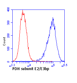 Flow Cytometry - Anti-Pyruvate dehydrogenase E2/E3bp antibody [13G2AE2BH5] (AB110333), expandable thumbnail