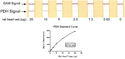 ELISA - Pyruvate dehydrogenase (PDH) Protein Quantity Dipstick Assay Kit (AB109883)