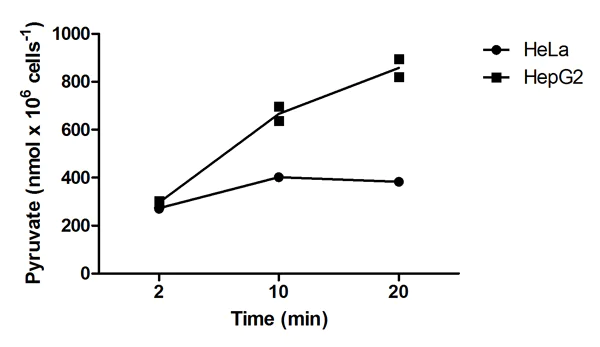 Functional Studies - Pyruvate Kinase Assay Kit (AB83432)