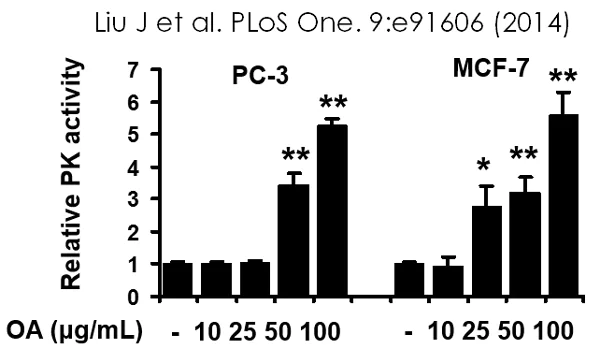 Functional Studies - Pyruvate Kinase Assay Kit (AB83432)